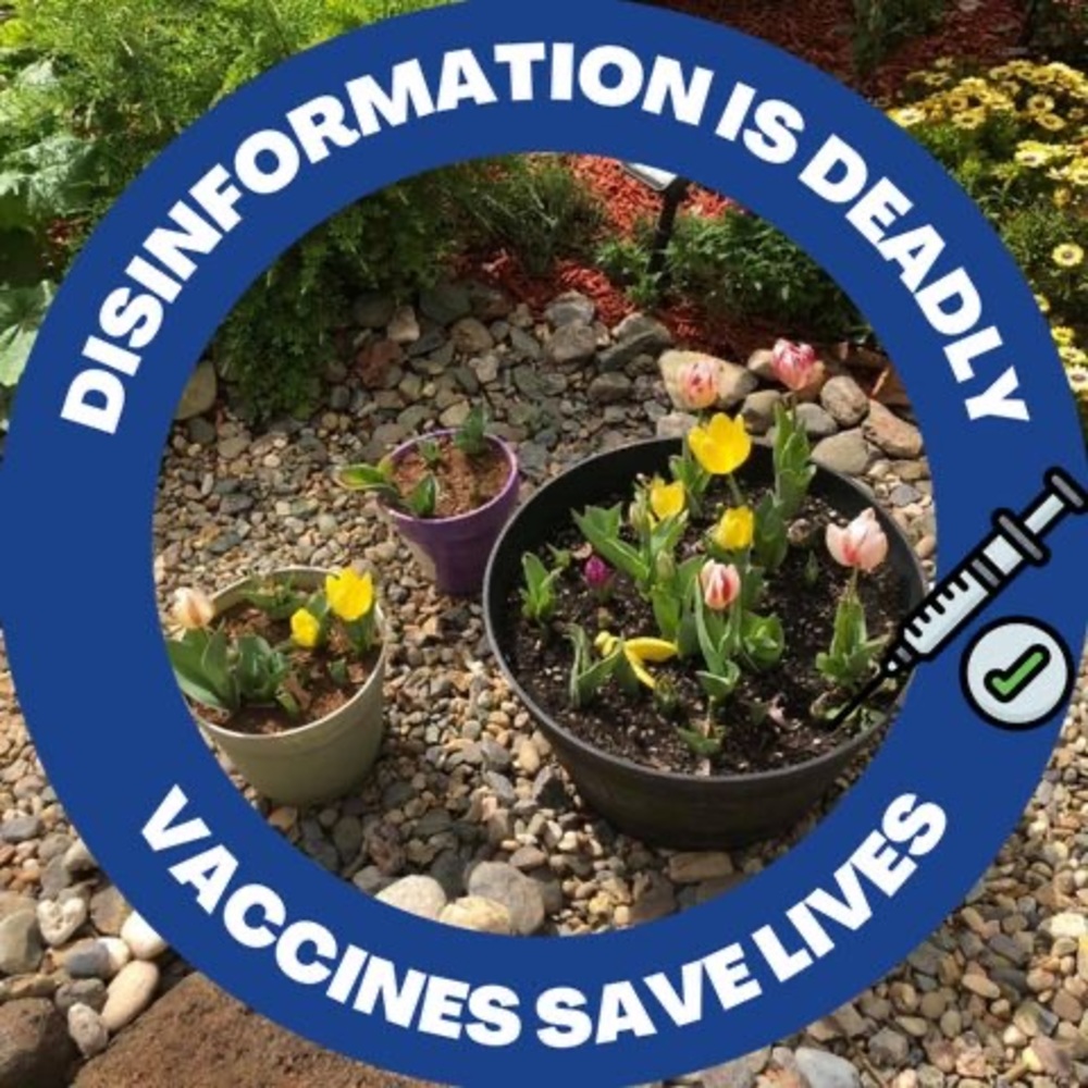 Meet your Posher, Wanda